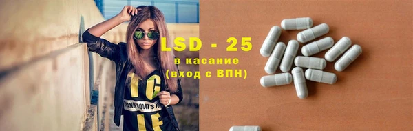 прущие грибы Козловка