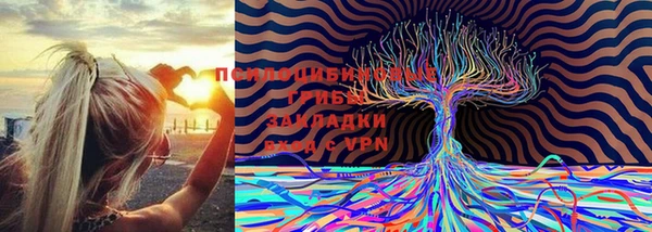 прущие грибы Козловка