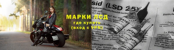 прущие грибы Козловка