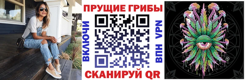 Купить где  Ворсма  Псилоцибиновые грибы MAGIC MUSHROOMS 
