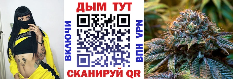 Купить закладки  Ворсма  Канабис SATIVA & INDICA 